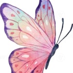 Butterfly Watercolor Illustration.jpg