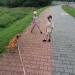 dzieci na spacerze z psem.jpg